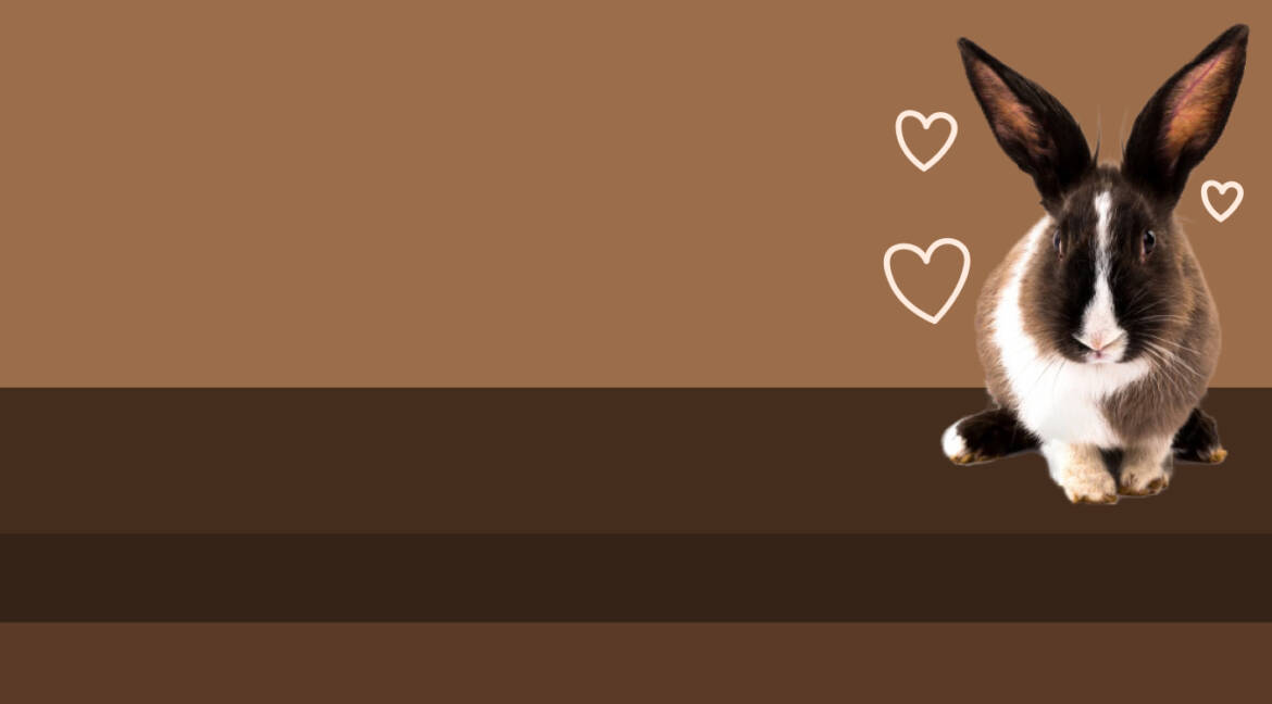 banner-2.1.jpg